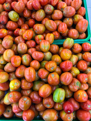 red and yellow tomatoes