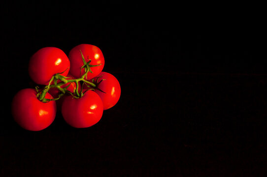 branch with red tomatoes on a black background, horizontal shot, copy space.