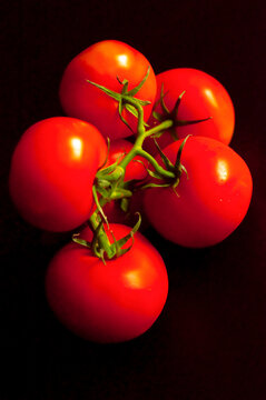 a branch with red tomatoes on a black background, vertical shot.