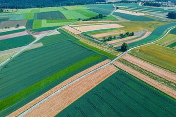 Obraz premium aerial of grain fields in summer