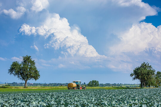 landscape with fields, tractor and big cloud