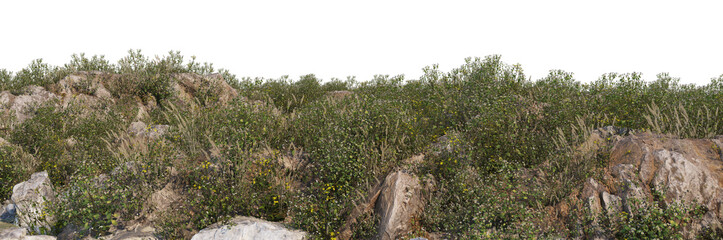 Fototapeta na wymiar 3d render grass hill with white background