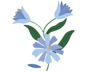 plant, flower, blue, trunk and leaves green, spring