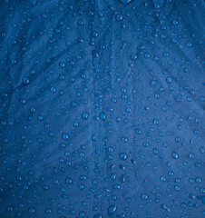Rainwater drops on a blue background made of waterproof fabric. Texture and abstract background.