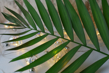 Tropical green leaves and garland
