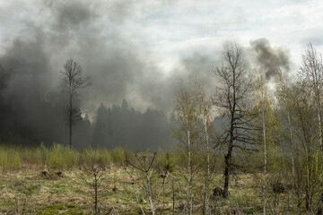 Smoke in woods. Fire in nature. Black smoke in countryside. It's dangerous situation.