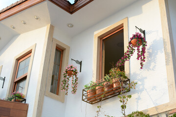 Fototapeta na wymiar House facade with windows and flowers