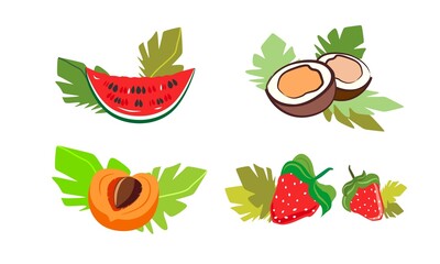 A set of ripe fruits: half an apricot, two strawberries, coconuts and a slice of watermelon on a white background.