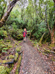 Obraz premium A person walks along the Three Capes Track in south-east Tasmania, March 2020