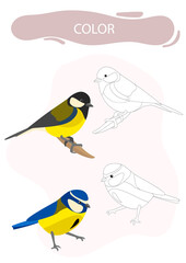 Coloring task elementary for children