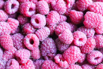 berry background of ripe raspberries