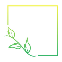 green floral square frame