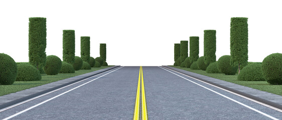 3d render street decorated with pine trees with a white background.