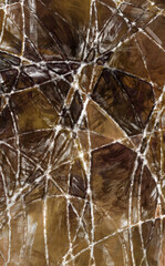 Expressive brushed painting on canvas. Abstract texture. 2d illustration. Wide brushstrokes. Modern digital art. Contemporary brush. Modern expression. Popular style pattern painted image.