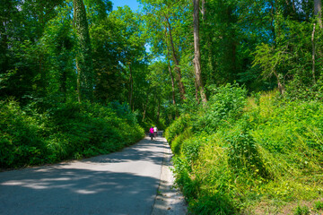 Fototapeta premium Fields and trees in a green hilly grassy landscape under a blue sky in sunlight in spring, Voeren, Limburg, Belgium, June, 2022