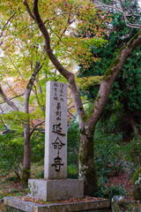 延命寺（大阪府河内長野市）の紅葉
