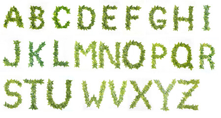 Letters from decorative ivy on a white background. Ivy leaf letters. Leaves alphabet. Font made from leaves on a white background