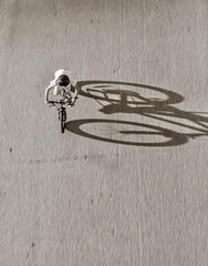 Shadow Bike