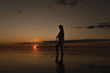 Fototapeta na wymiar The girl is standing near the sea. The girl looks at the sunset on the sea