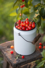 Still-life. Photo of a red ripe cherry in a bucket.