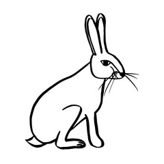 Simple doodle hare, black contour drawing isolated on white background. Domestic rabbit in a sitting pose. Cute easter bunny. Vector illustration, line art clipart, design element. Forest animal