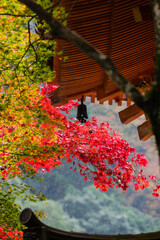 Fototapeta na wymiar 大威徳寺（大阪府岸和田市）の紅葉