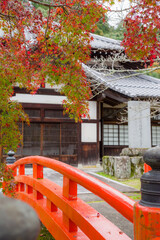 Fototapeta premium 天野山金剛寺（大阪府河内長野市）の紅葉