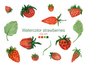 watercolor set of red strawberries, summer elements, Isolated elements for design.
