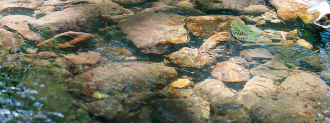  Water stream with transparent texture, polished rocks under water with small waves. The pattern of light with waves creates a beautiful texture on the stones                              