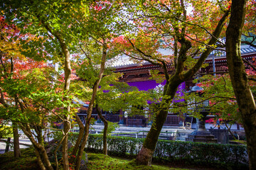 京都永観堂の紅葉