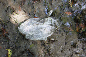 Close up plastic on mangrove forest.