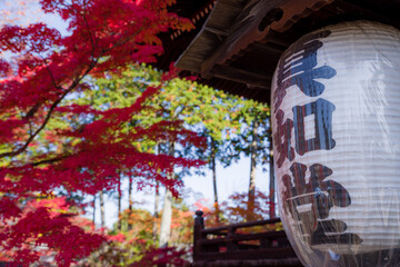 京都真如堂の紅葉