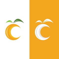 Fototapeta na wymiar Orange logo design