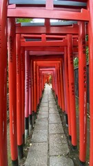 Fototapeta na wymiar Mesmerizing passage of Japanese thousand “Tori” gates in beautiful scarlet hue aligned to form corridor of holy wisdom. Year 2022 June 29th, “Nezu Jinjya” built by 5th Shogunate of Edo period Tokugawa