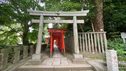 Entrance Tori gate to the thousand tori, historic property of Tokugawa Shogunate in the Edo era, the passage goes long down to the main garden of the shrine.  Year 2022 June 29th