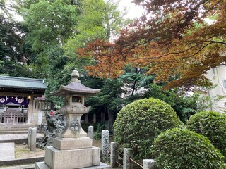 Obraz premium Zen scenery at the shrine of Japan, “Nezu Jinjya”, year 2022 June 29th downtown Tokyo Japan