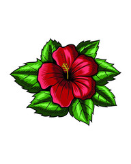 hibiscus flower with leaf vector illustration