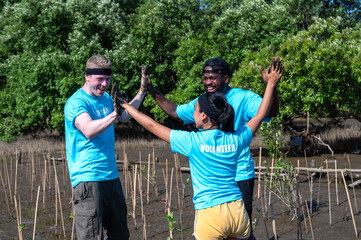 Group of  friendly volunteers with blue-shirted  are Mangrove forest planting in the countryside,they are happy.Natural environment conservation concept