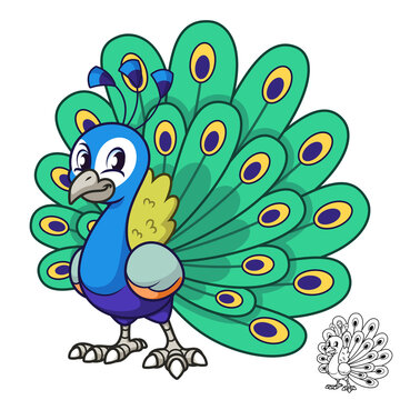 Cute Peacock Standing with Black and White Line Art Drawing