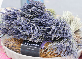 Group of bunches of lavender