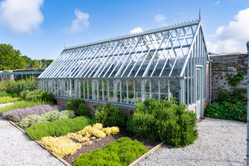 greenhouse with flowers