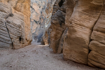 Obraz premium Lick Wash, a Canyon in the White Cliffs of the Grand Staircase, Utah