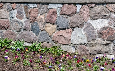 stone wall with flowers