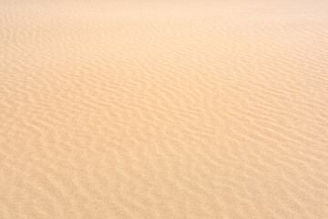 wind ripples on the sandy surface in the desert