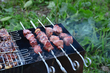 grilled pieces of meat on chargrill in the garden, close-up