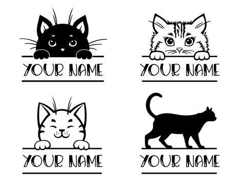Black White Cat Face Vector & Photo (Free Trial)