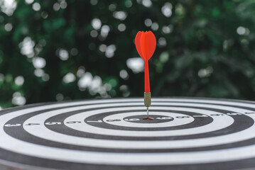 Red dart arrow hit the center target of dartboard with blur background. Target business or market goals concept