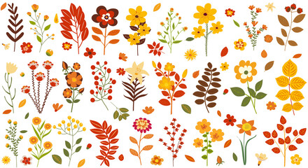 Fototapeta na wymiar autumn leaves and flowers set in flat design, isolated vector