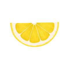 Lemon slice. Vector realistic illustration isolated on white background. Lemon eps icon clip art.