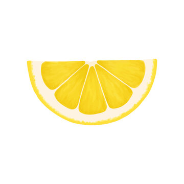 Lemon slice. Vector realistic illustration isolated on white background. Lemon eps icon clip art.